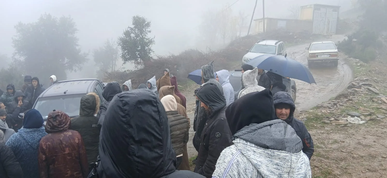 الحسيمة : سكان جماعة كتامة في مواجهة الوحش الإداري … كيف تحولت حماية الغابات إلى ترهيب بيروقراطي