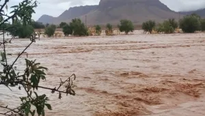 إعلان “الماك” عن دولة القبايل يفتح صفحة جديدة في الصراع الجزائري والموقف المغربي