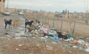 ساكنة واحة سيدي إبراهيم تتذمر من تدهور الوضع البيئي وانتشار النفايات المحترقة قرب المنازل