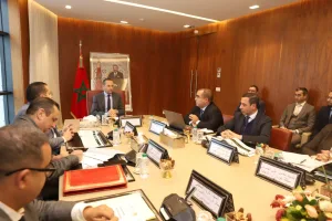 التهراوي يترأس اجتماع المجلس الإداري للوكالة المغربية للدم ومشتقاته لتعزيز الأمن الصحي الوطني