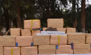 طنجة :   حجز نصف طن من الحشيش داخل مخزنين وتوقيف 6 أشخاص