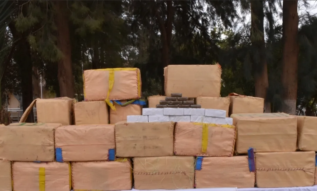 طنجة :   حجز نصف طن من الحشيش داخل مخزنين وتوقيف 6 أشخاص