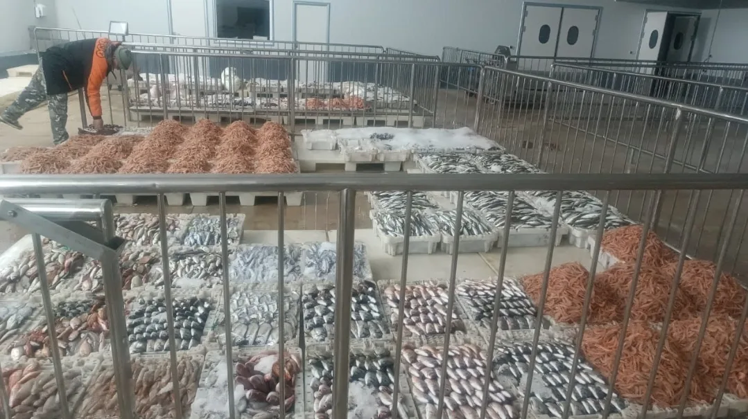 الحسيمة :   تدابير إجرائية صارمة تعزز الحركية بسوق السمك بالميناء