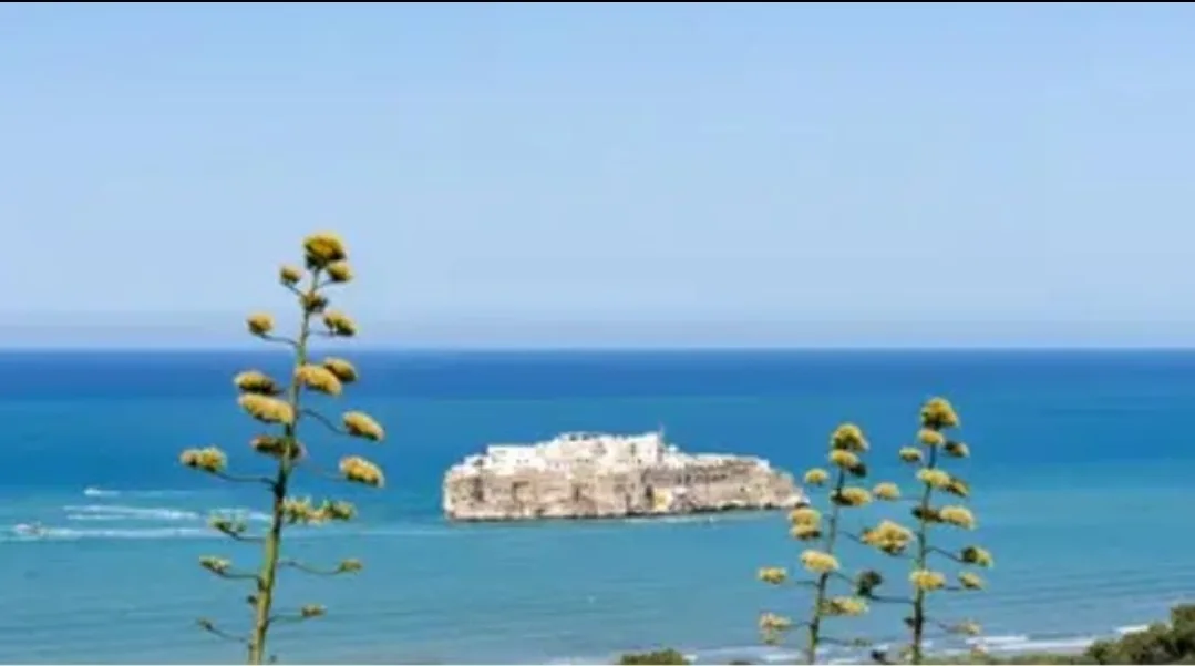 توجس الإعلام الإسباني من تصاعد الطموحات المغربية بعد الانتصار في ملف الصحراء المغربية