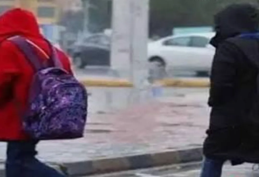 الناظور:    تعليق الدراسة بعدد من جماعات الإقليم بسبب سوء الأحوال الجوية