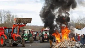 احتجاجات واسعة لكسّابي الماشية في فرنسا بسبب ذبح المريضة منها