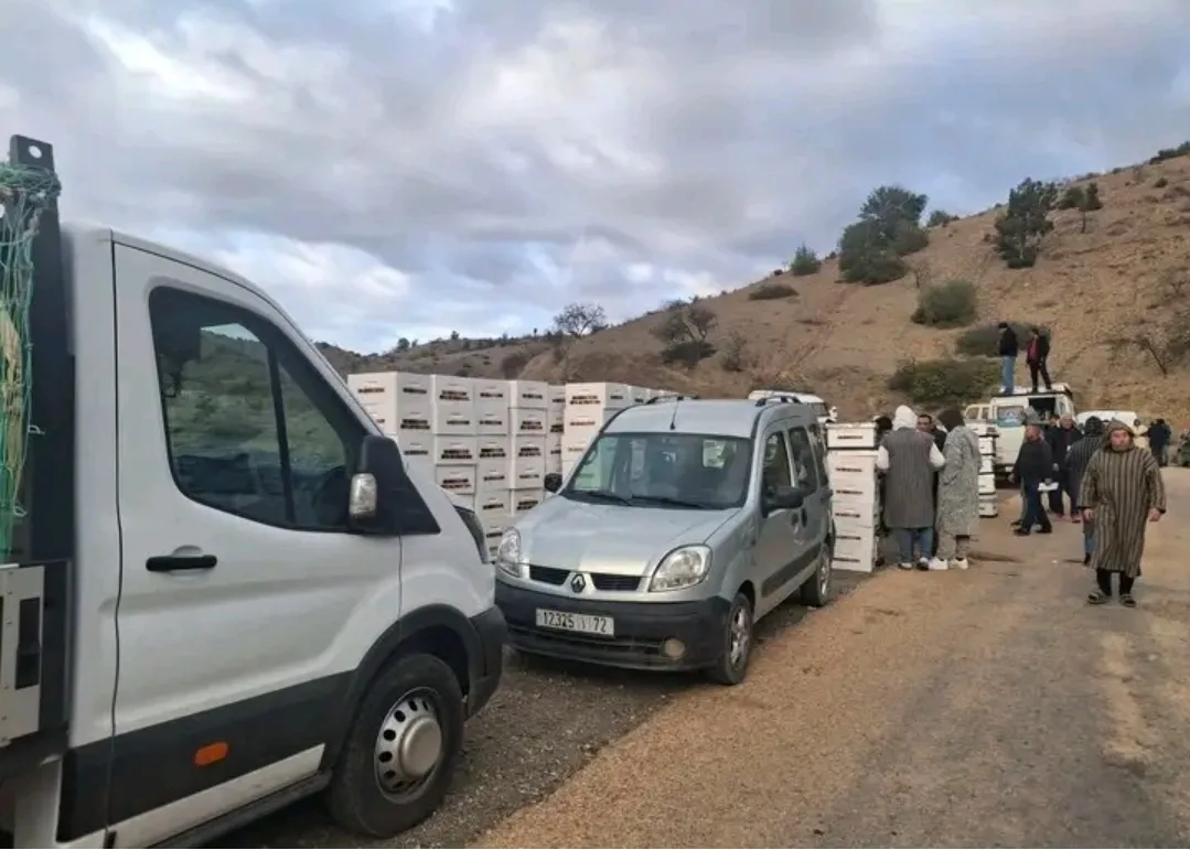 الحسيمة :   قائد ومنتخبون وأعوان سلطة يلتهمون خلايا النحل بجماعة أربعاء تاوريرت وشقران !