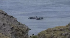 السجن أو الطرد من إسبانيا :      حكم قاسٍ على سنغالي بسبب تهريب الحشيش في السواحل الأندلسية