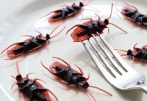 فضيحة داخل مستشفى ابن باجة بتازة :     “سراق الزيت” في وجبات الأطر الصحية والمرضى