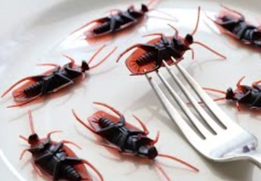 فضيحة داخل مستشفى ابن باجة بتازة :     “سراق الزيت” في وجبات الأطر الصحية والمرضى