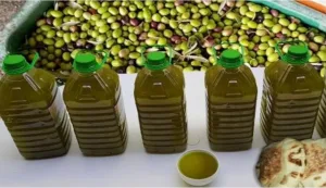 40 درهم للتر … انخفاض صاروخي لأسعار زيت الزيتون