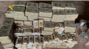 تفكيك شبكة دولية لتهريب المخدرات عبر حافلات تربط المغرب بأوروبا: توقيف خمسة أشخاص في ألميرية