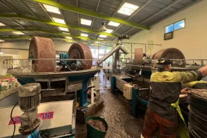 حملات مكثفة بالشمال لكشف زيوت الزيتون المغشوشة وحجز آلاف اللترات