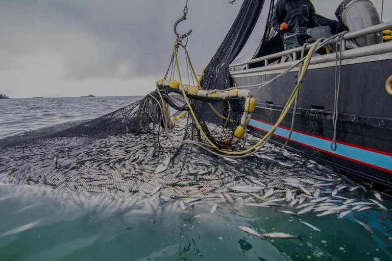 روسيا تفتح باب طلبات حصص الصيد في المياه المغربية بموجب الاتفاق البحري الجديد