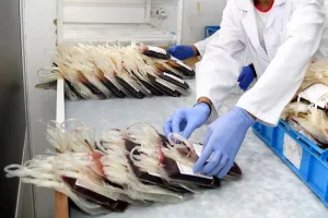 اجتماع بين إدارة وكالة الدم والنقابة يكشف استمرار الغموض حول النظام الأساسي للموظفين