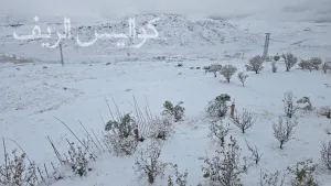 ثلوج كثيفة تعطل حركة السير في عدة محاور جبلية بالمغرب