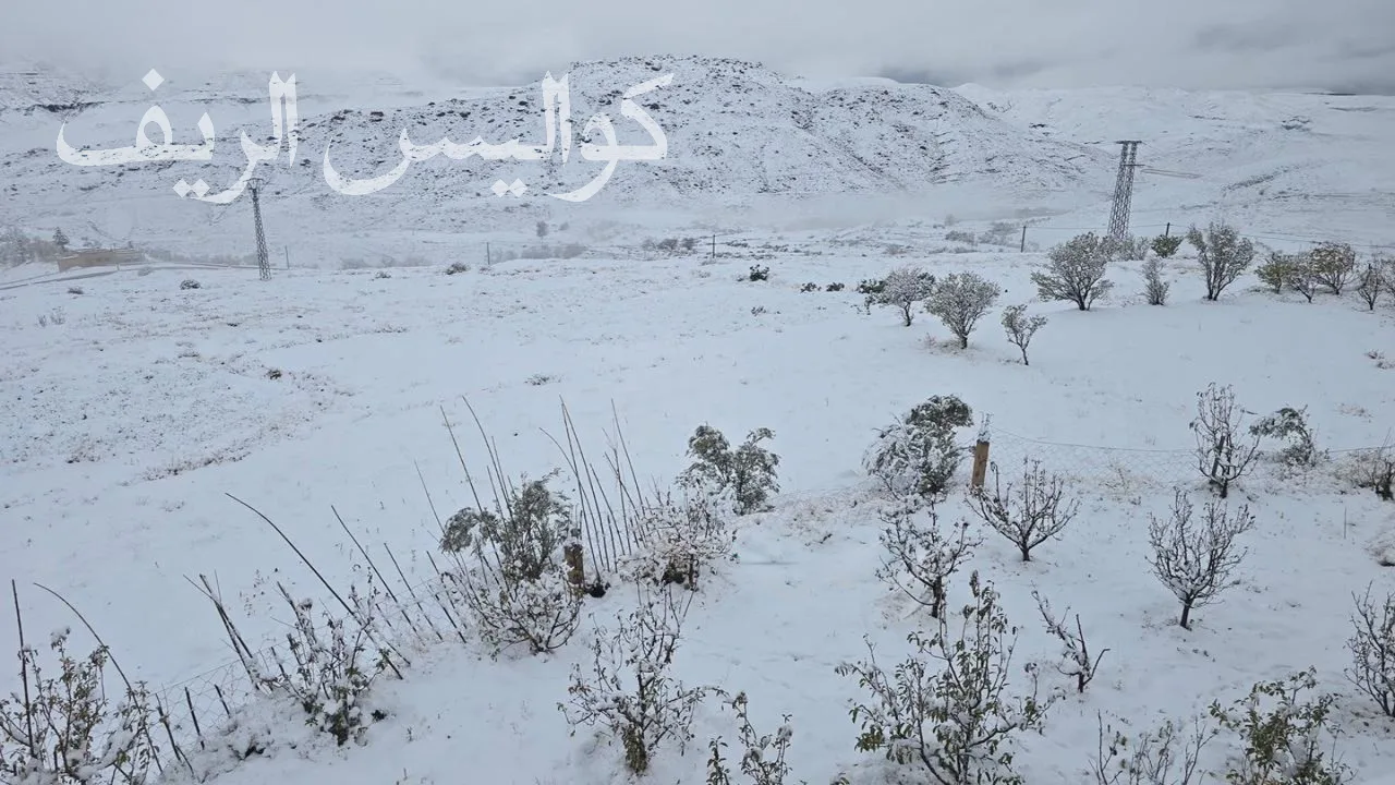 ثلوج كثيفة تعطل حركة السير في عدة محاور جبلية بالمغرب