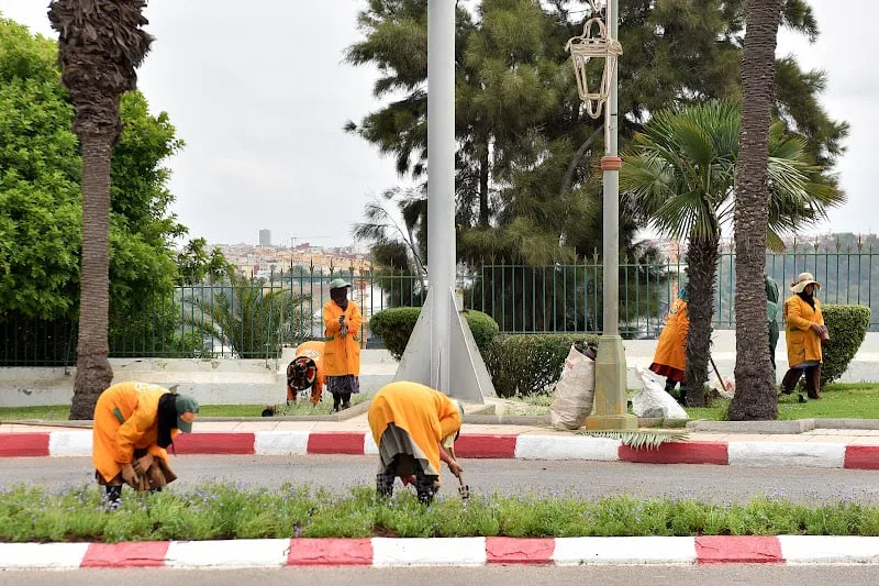 عاملات الإنعاش الوطني خارج مسار الإدماج الوظيفي: لفتيت يوضح خلفيات الإطار القانوني