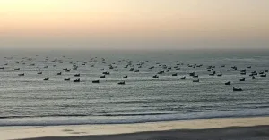 الداخلة – الناظور : مئات البحارة عالقون في البحر بسبب منع الرسو الليلي