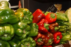 الفلفل الحلو المغربي يحقق إنجازاً تاريخياً في السوق الألمانية بعائدات تتجاوز 120 مليون يورو