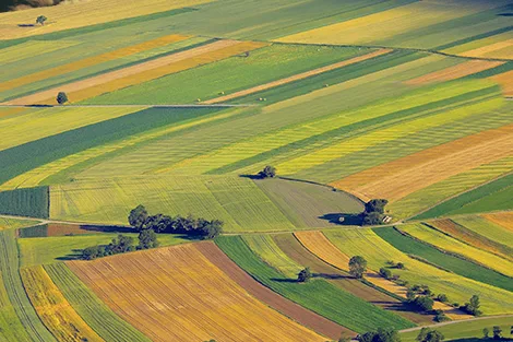 تقرير صادم يكشف فوضى التعمير بجهة الدار البيضاء–سطات وتلاعبات تهدد الأمن العقاري