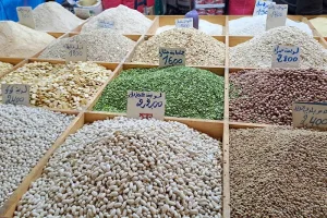 دراسة أكاديمية: سياسة المغرب التجارية في الحبوب نجحت في حماية السوق المحلية من تقلبات الأسعار العالمية