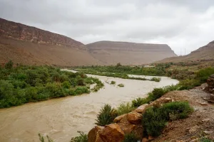 ارتفاع حقينات السدود إلى 48,39 في المائة يعكس تحسنا في الوضع المائي