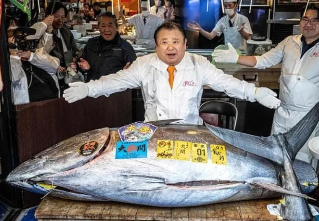 سمكة تونة فاخرة بطوكيو تُباع بـ 3 ملايير سنتيم مغربية