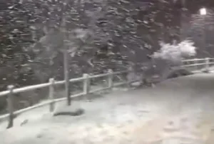 وجدة والنواحي تتوشح بالثلوج مساء أمس… فرحة الأطفال وسحر الأبيض يغمر المدينة