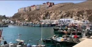 الحسيمة :       تراجع مقلق في الصيد التقليدي والبرلماني أمغار يسأل عن إجراءات الإنقاذ