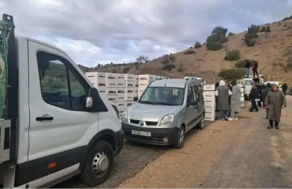 الحسيمة :    منذ أسابيع تتواصل إنتقادات واسعة بسبب خروقات في توزيع خلايا النحل بجماعتي شقران وأربعاء تاوريرت