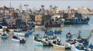 الناظور يطلق برنامج الصيد الرصدي لتعزيز التدبير التشاركي للمصايد