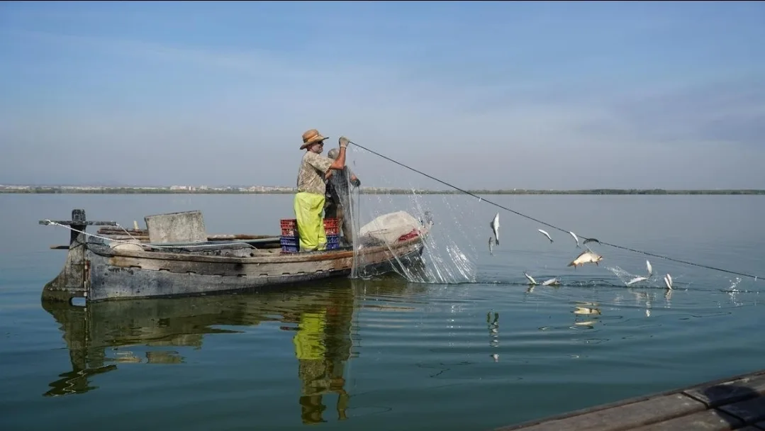 قواعد أوروبية جديدة للصيد تثير جدلاً في إسبانيا وسط تحذيرات من تراجع الإنتاج المحلي مقابل واردات من المغرب