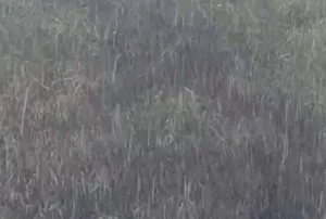 طنجة أعلاها ومراكش أقلها … كميات الأمطار المسجلة في المغرب حسب المدن خلال 24 ساعة