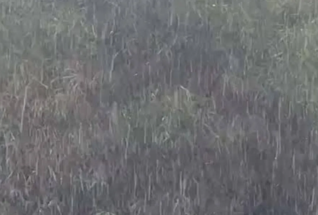 طنجة أعلاها ومراكش أقلها … كميات الأمطار المسجلة في المغرب حسب المدن خلال 24 ساعة