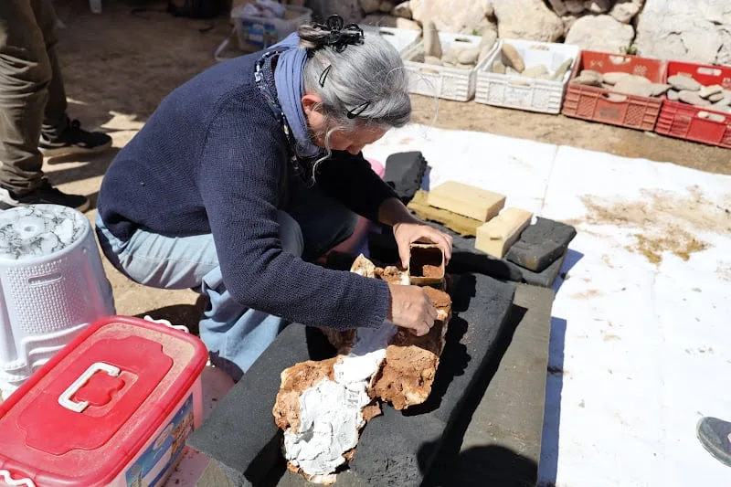 اكتشاف مغربي يعيد رسم خريطة تطور الإنسان قبل 800 ألف سنة