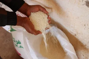 غلاء الأسمدة يثقل كاهل الفلاحين المغاربة وسط غياب الدعم الحكومي