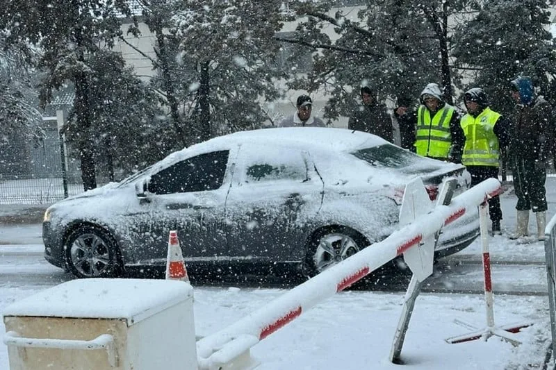 الثلوج تشل الحركة في ميدلت وإفران واستنفار واسع لإعادة فتح الطرق