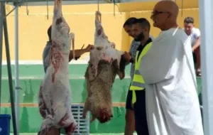 مليلية : نقص الجزارين “الحلال” يهدد تموين اللحوم مع اقتراب رمضان