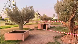 مأساة في مراكش: سقوط طفل في بئر غير محمي ينهي حياته ويثير غضب الساكنة