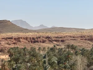 توتر متجدد بقصر إيش.. انتشار عسكري جزائري قرب الحدود يشعل غضب الساكنة