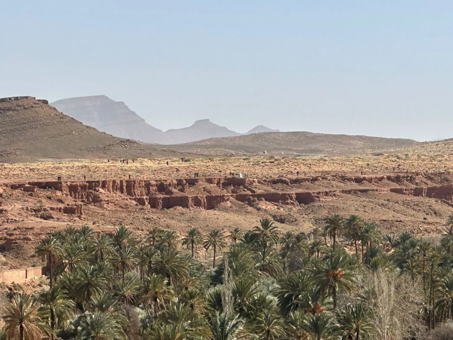 توتر متجدد بقصر إيش.. انتشار عسكري جزائري قرب الحدود يشعل غضب الساكنة