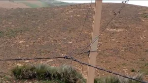 وجدة :    أسلاك كهربائية تتصيد الأرواح ملقاة منذ 10 أيام على الأرض بجماعة بني خالد !