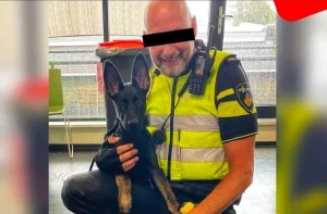 هولندا :       شرطي يبيع أسرار الدولة للمجرمين والأباطرة تفاديا للإعتقال !!