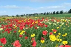 بعد شهرين من الأمطار والغيوم … وزير التجهيز والماء يبشر المغاربة بإنفراج قريب