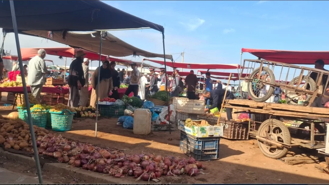 الناظور :      عامل الإقليم يقف ميدانياً على وضع السوق الأسبوعي بقرية أركمان ويبحث سبل تأهيله