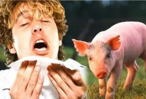 إنذار صحي في إسبانيا :  انتقال بين البشر لإنفلونزا الخنازير يثير مخاوف وباء جديد