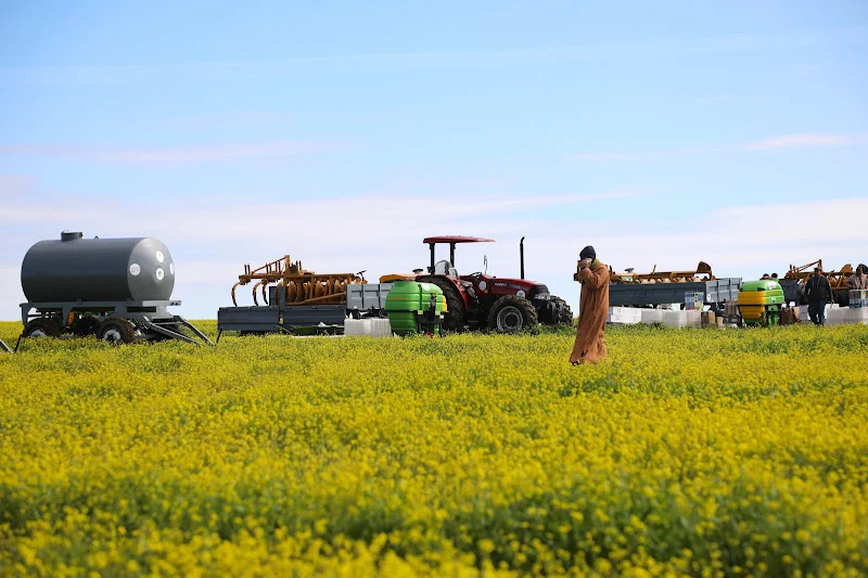شراكات أراضي الدولة تضخ مليارات الدراهم في الفلاحة وتخلق آلاف فرص الشغل