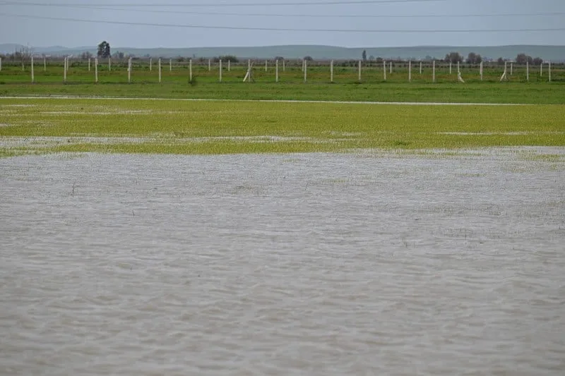 فيضانات الغرب تُغرق ربع الأراضي المزروعة وتستدعي خطة إنقاذ عاجلة لدعم الفلاحين