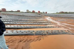 فيضانات الشمال الغربي تغمر الحقول والمساكن ونقابة الفلاحين تطالب بإعلان المنطقة منكوبة وبرنامج إغاثة عاجل